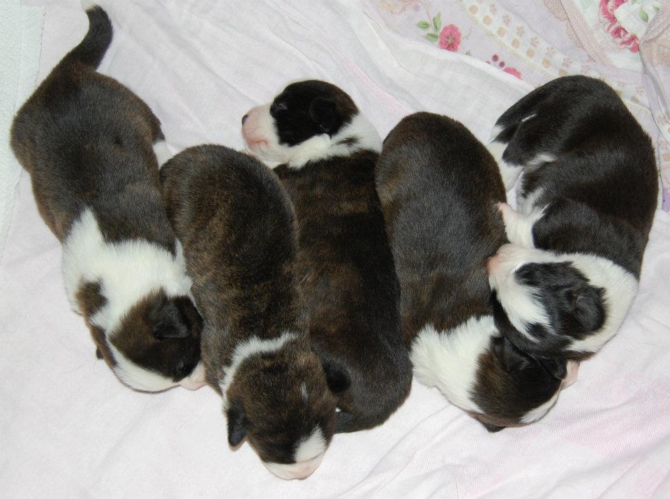 girls 2 weeks